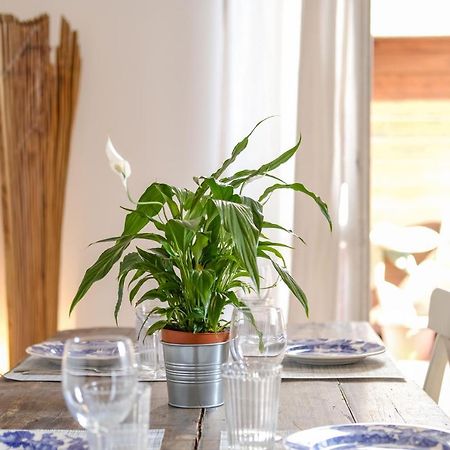 Spacious Apartment With Big Terrace At Colosseum Rome Luaran gambar